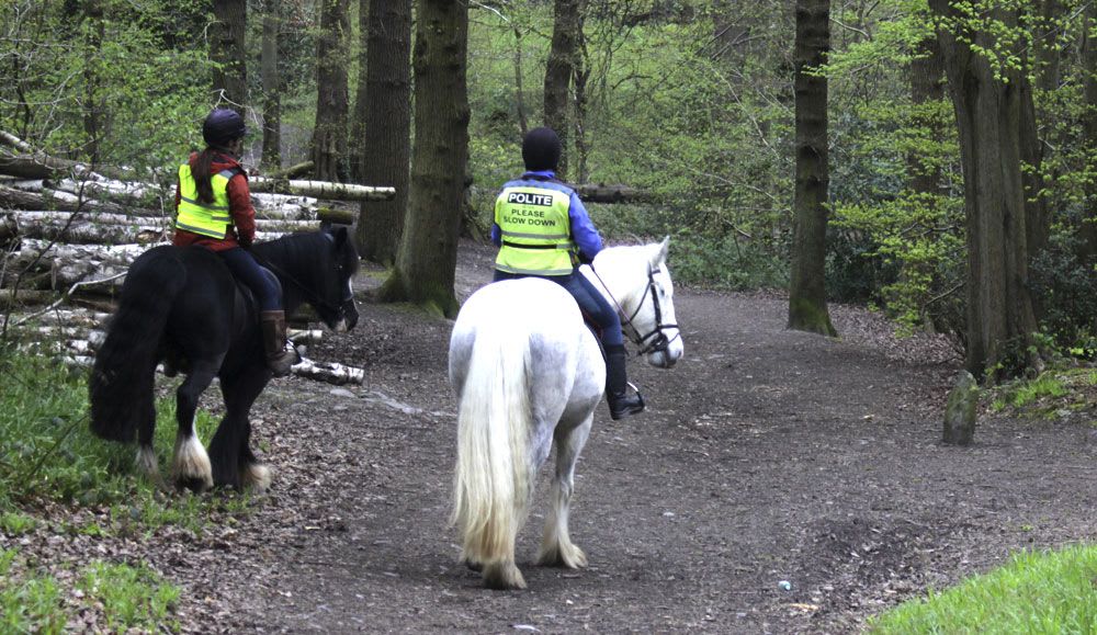 Horse Riding in Swithland Wood